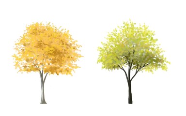 watercolor tree side view isolated on white background for landscape plan and architecture layout drawing, elements for environment and autumn garden