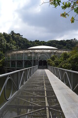 bridge over the river