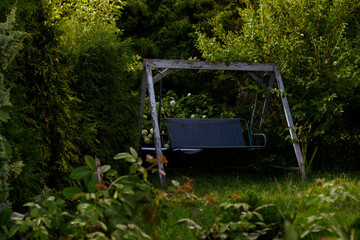 swing in the garden