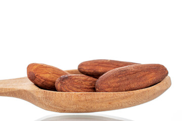 Fragrant roasted almonds with a spoon, close-up, isolated on white.