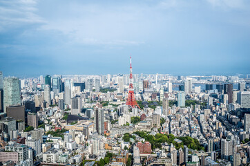 Fototapeta premium 도쿄의 도시