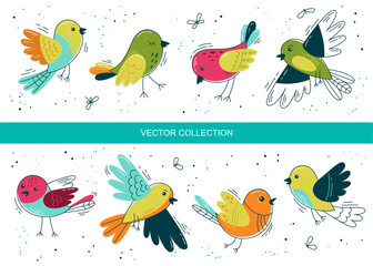 Obraz premium Multicolored birds - vector set in a flat style. Spring mood. Summer mood. Scandinavian style birds 