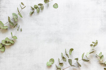 Frame floral pattern with eucalyptus leaves and branches