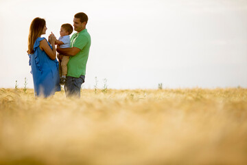 Young family with cute little boy having fun outdoors in the field
