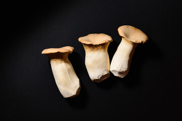 Pleurotus eryngii also known as king trumpet mushroom on black background. Top view