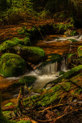 Skrivan color creek in Krusne mountains in spring morning with sun after rain