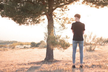 Chico joven en un arbol junto a la puesta de sol