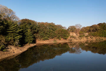ake with reflections from the shore and trees