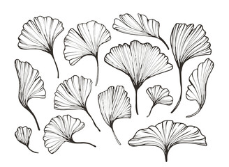 abstract florals minimalistic line art. Hand drawn botanical elements, sketch foliage set. Natural silhouette icons.