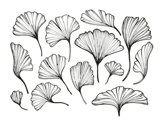 Vector abstract florals minimalistic line art. Hand drawn botanical elements, sketch foliage set. Natural silhouette icons.
