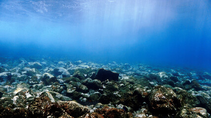 Underwater scenery and landscape in sunlight
