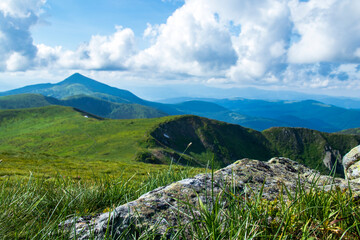 Mountain landscape. Green grass, blue mountains, flowers and needles. Montenegrin ridge in Ukraine in July. Hike in the Carpathian Mountains.