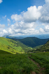 Mountain landscape. Green grass, blue mountains, flowers and needles. Montenegrin ridge in Ukraine in July. Hike in the Carpathian Mountains.
