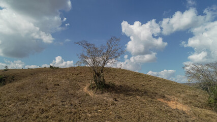 drought is a problem that is affecting the entire world, in Brazil it is no different. in the interior of Rio de Janeiro, vegetation and climate have changed a lot for some time now. everything is dry
