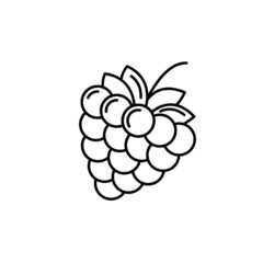 Badge  blackberry. Vector image, eps