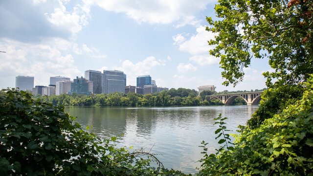 Washington DC Landscape