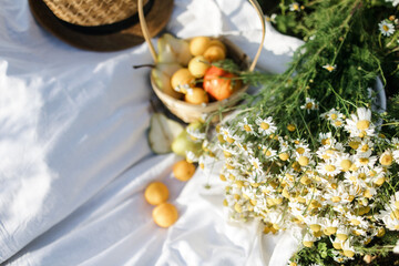 Fototapeta na wymiar the concept of a romantic evening. Picnic on the chamomile flower field with fruit. Summer eco-picnic on the grass with a straw hat, a tablecloth made of organic linen. A summer idea.