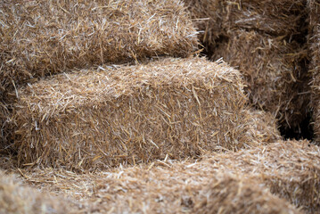 Stroh / Strohballen