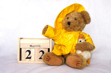 March 22 wooden calendar with brown teddy bear with yellow rain coat