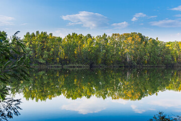 landscape forest trees in the mirror reflection of water