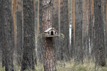 wooden bird house