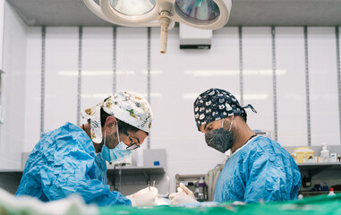 Veterinarians conducting surgery in operating room
