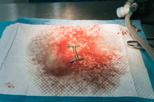 Surgical implements and blood in vet hospital