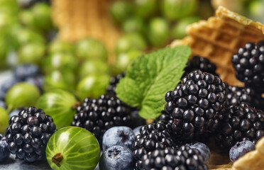 background of berries, gooseberries, mulberries and blueberries
