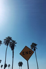 Palm trees