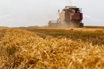 combine harvester working on wheat field