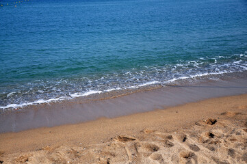 beach in the morning