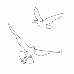 Continuous line drawing of flying birds on a white background. Hand-drawn vector illustration
