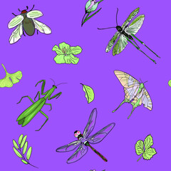 Pattern insects on a colored background. Seamless illustration of a butterfly, dragonfly, beetle as a blank for designers, wallpaper, printing on textiles
