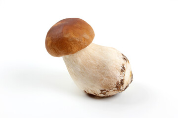 Fresh Boletus edulis (penny bun, porcini, king bolete or cep) isolated on white background. Close up.