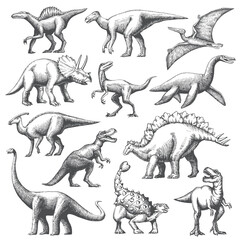 Dinosaur grafic hand drawn illustration set