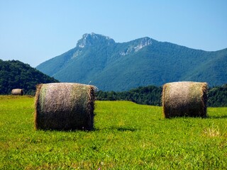 bales