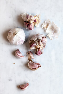 Garlic bulb