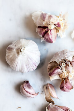 Garlic bulb