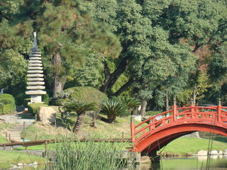 bridge over the river