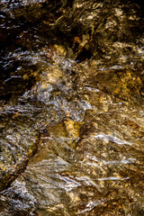 waterfall, Minas Gerais, Brasil