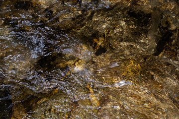 waterfall, Minas Gerais, Brasil