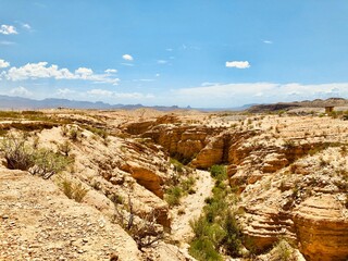 Hot yellow daytime desert in terlingua, Texas with bright sky