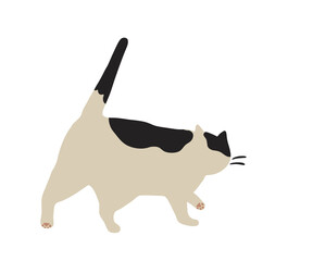 歩く猫の後ろ姿-ブチ猫