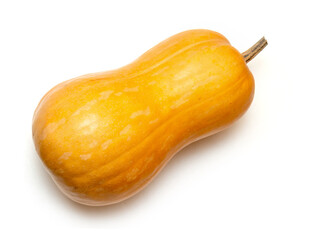 Yellow ripe pumpkin isolated on white background. Autumn harvest.