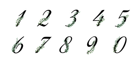 Floral Number. Digit with leaves eucalyptus. Vector illustration.