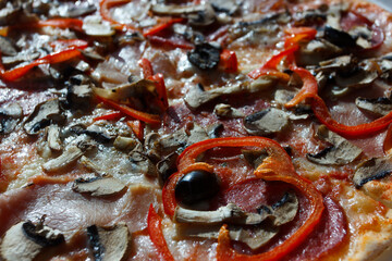 Baked pizza with cheese, tomatoes and mushrooms