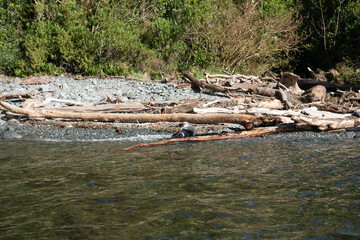 Milford Sound, Fiordland, New Zealand