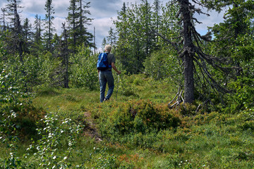 Obraz premium Hiking in the Totenåsen Hills, Norway.