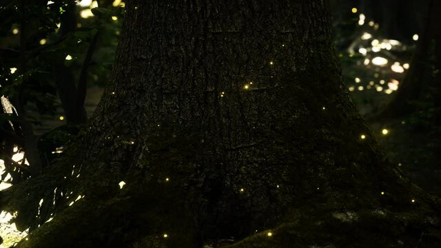 Fantasy firefly lights in the magical forest