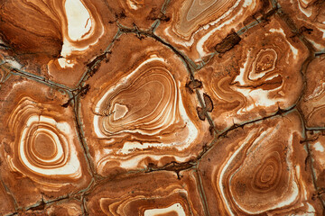 Textura natural de mármore Wood Stone para fundo de cena luxuoso para decoração de interiores e design.